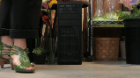 Small Business Server: Flower Shop