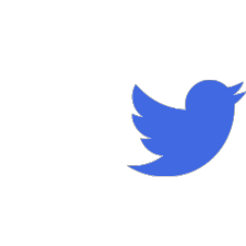 social icon twitter